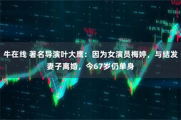 牛在线 著名导演叶大鹰：因为女演员梅婷，与结发妻子离婚，今67岁仍单身