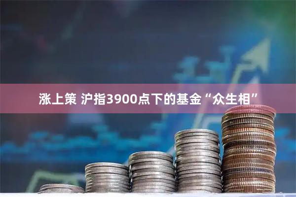 涨上策 沪指3900点下的基金“众生相”