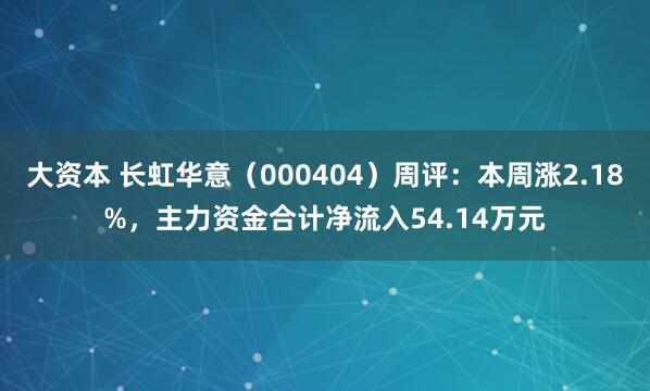 大资本 长虹华意（000404）周评：本周涨2.18%，主力资金合计净流入54.14万元