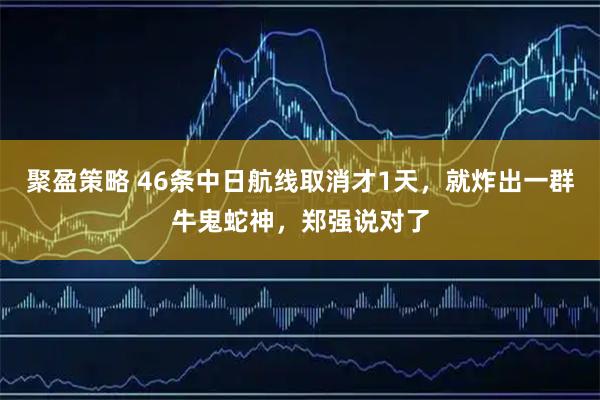 聚盈策略 46条中日航线取消才1天，就炸出一群牛鬼蛇神，郑强说对了