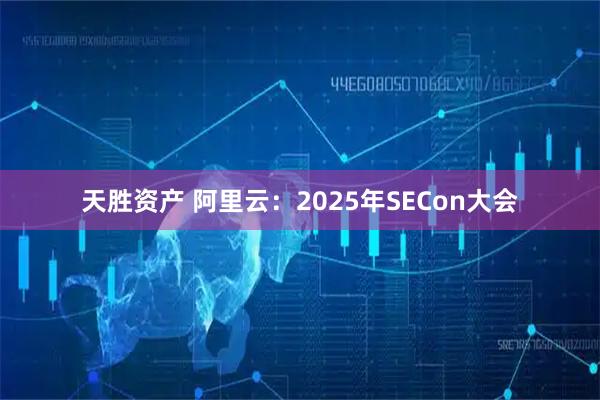 天胜资产 阿里云：2025年SECon大会
