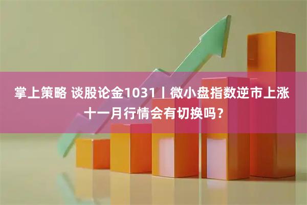 掌上策略 谈股论金1031丨微小盘指数逆市上涨 十一月行情会有切换吗?